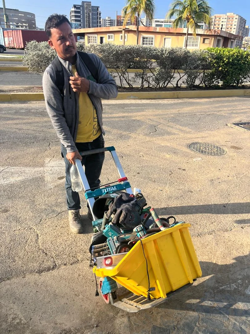 Procura
